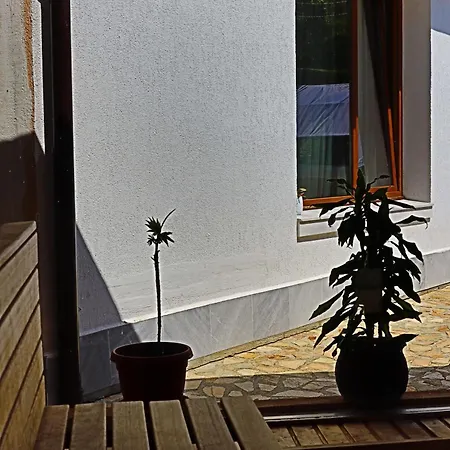 House Kubrat Guest house *