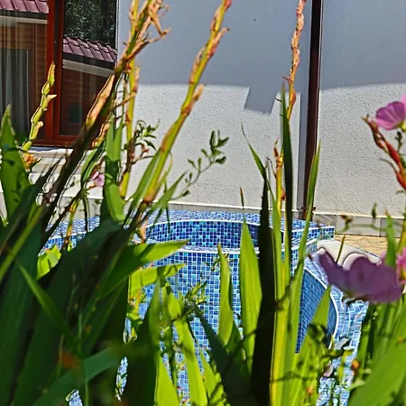 House Kubrat Guest house Sapareva Banya